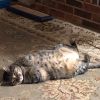 Abby photo 4