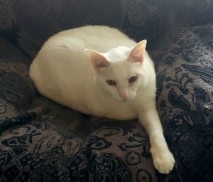 Arden, Senior Female unknown