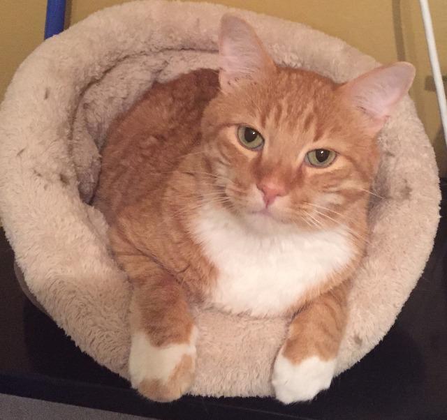 Dustin (fka Destin) 2