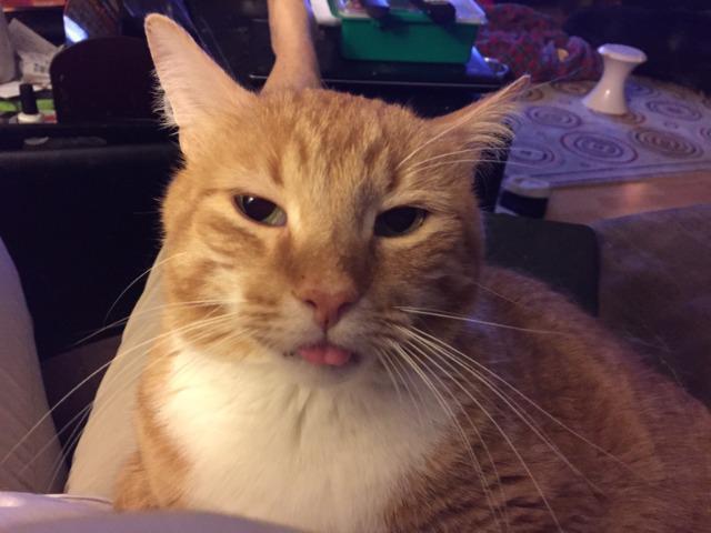 Dustin (fka Destin) 3