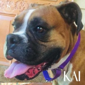 . Kai .