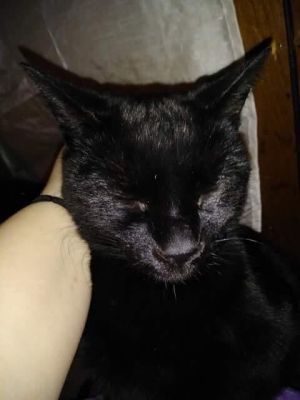 Tiana, Senior Female unknown
