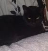 Tiana photo 2