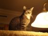 Tanya photo 2
