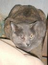 Sylvia photo 2
