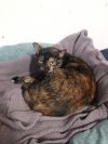 Pixel photo 2