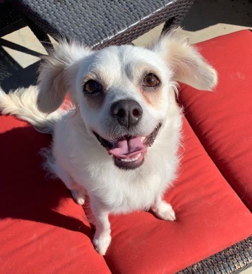 . Coco .