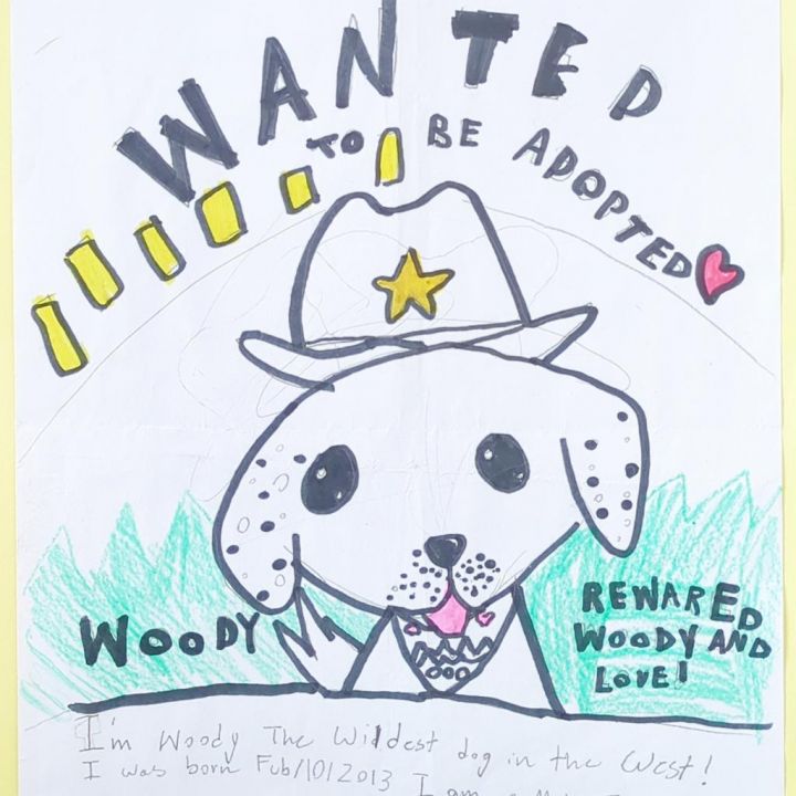 Woody 2