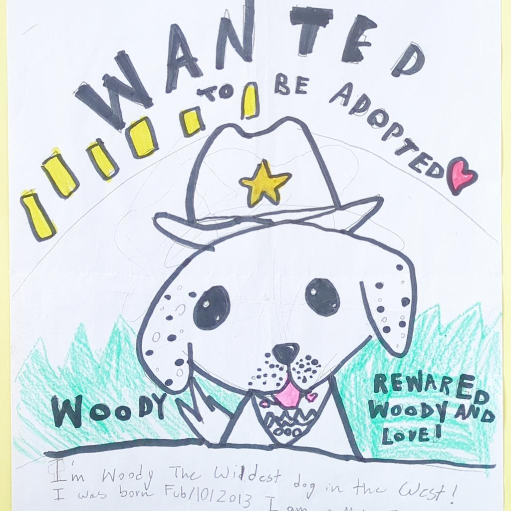 Woody, an adoptable Labrador Retriever in Kanab, UT, 84741 | Photo Image 2