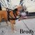 . Brody .