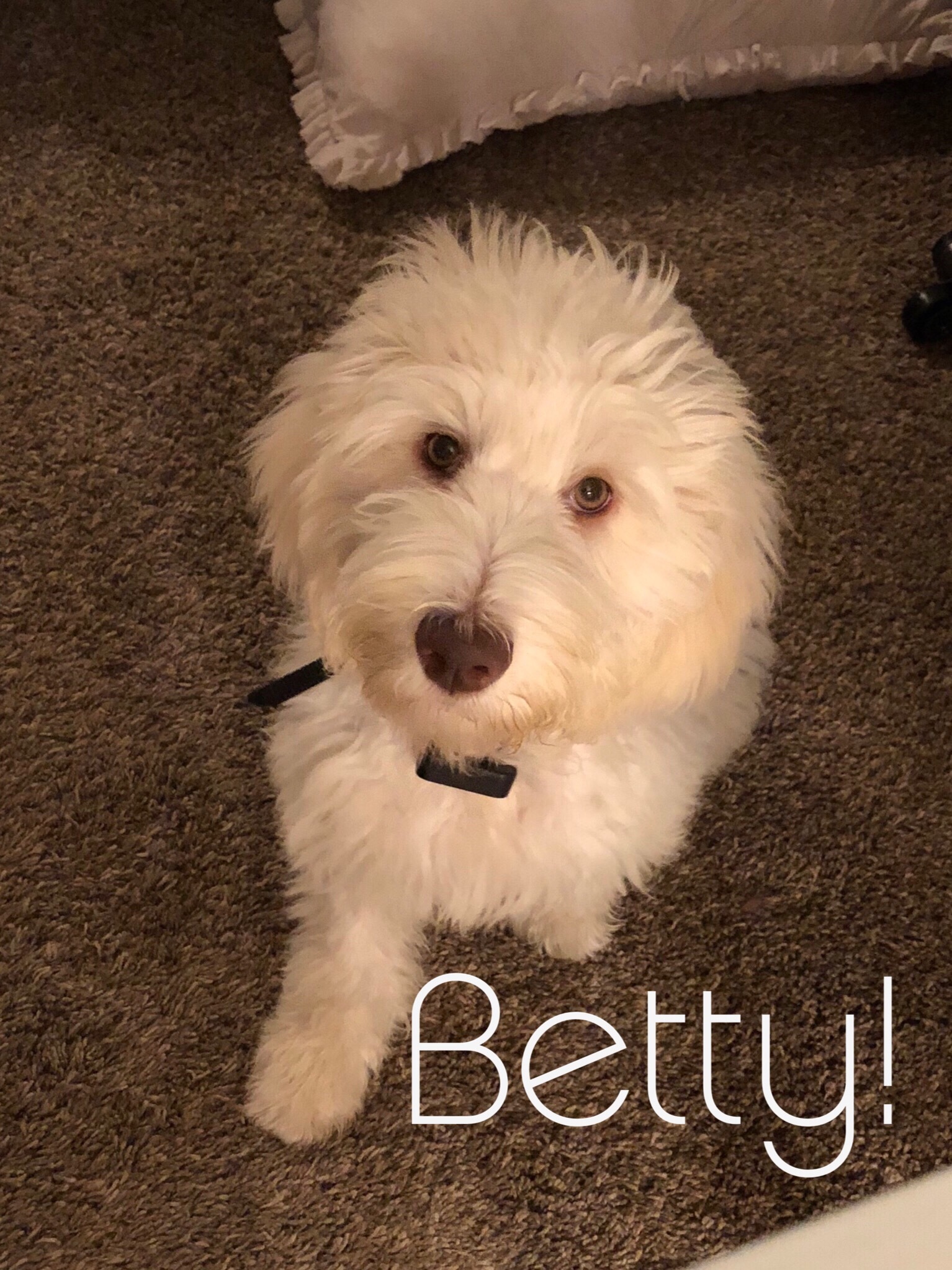 Betty Tx detail page