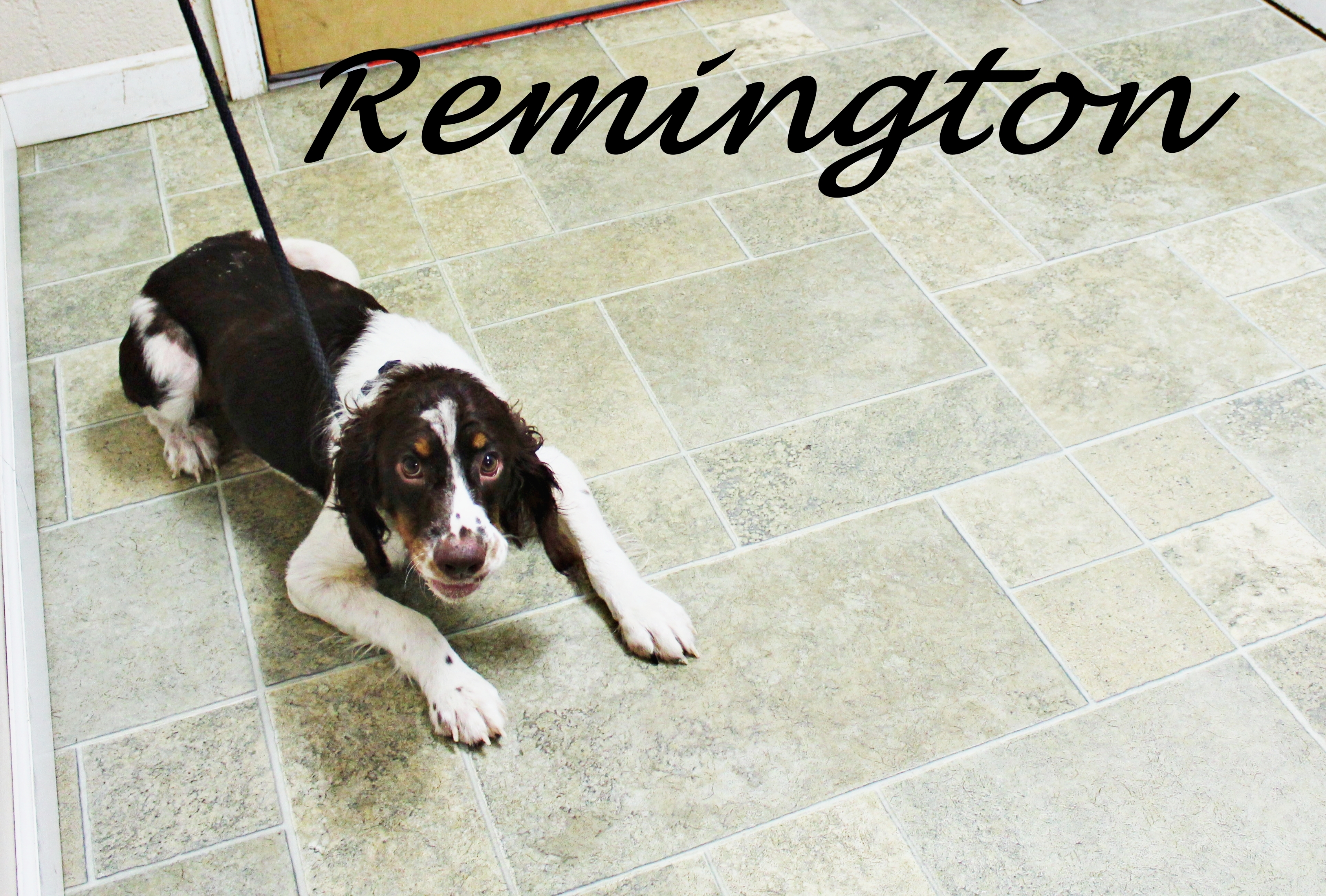 Remington detail page
