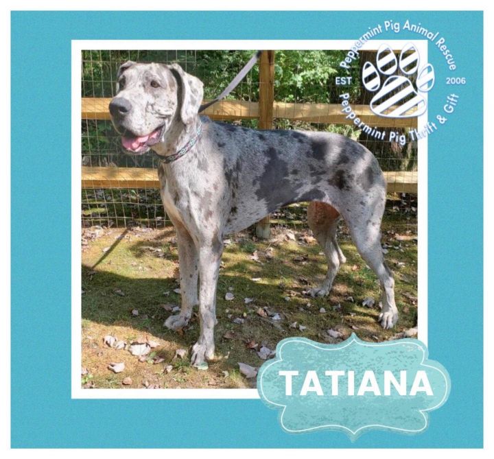 Tatiana 5