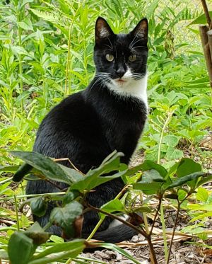 Aran, Young Female unknown