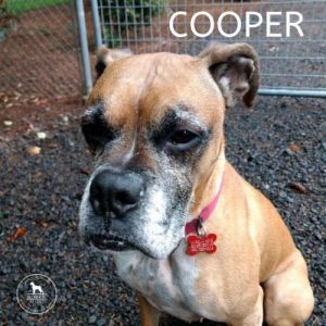 . Cooper .