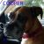 . Cooper .