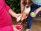 . Evan PR Beagle Baby .