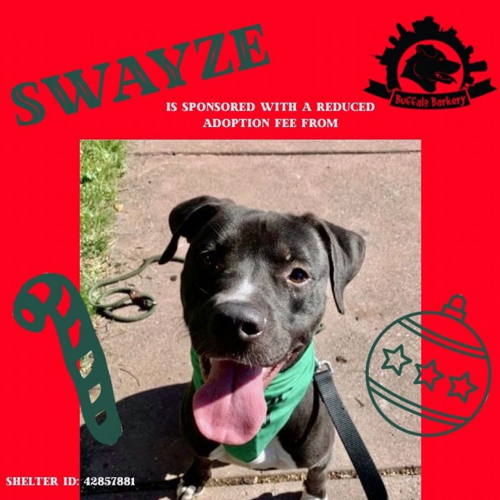 Swayze 6