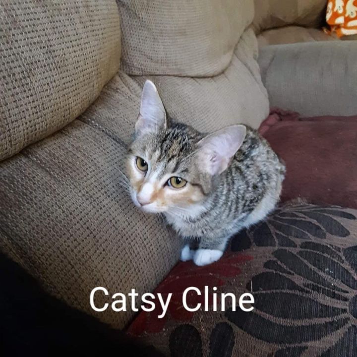 Catsy Cline 1