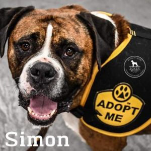 . Simon .