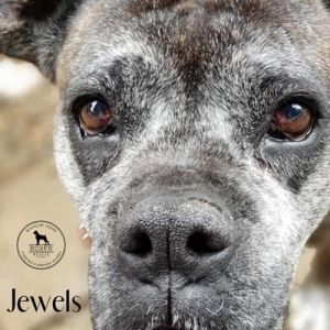 . Jewels .