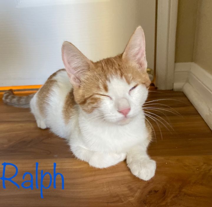 Ralph 3