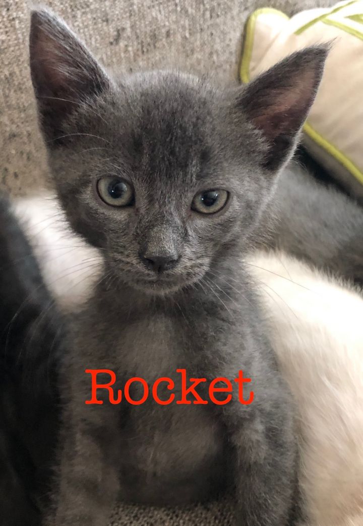Rocket 1