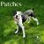 . Soba (Patches) .