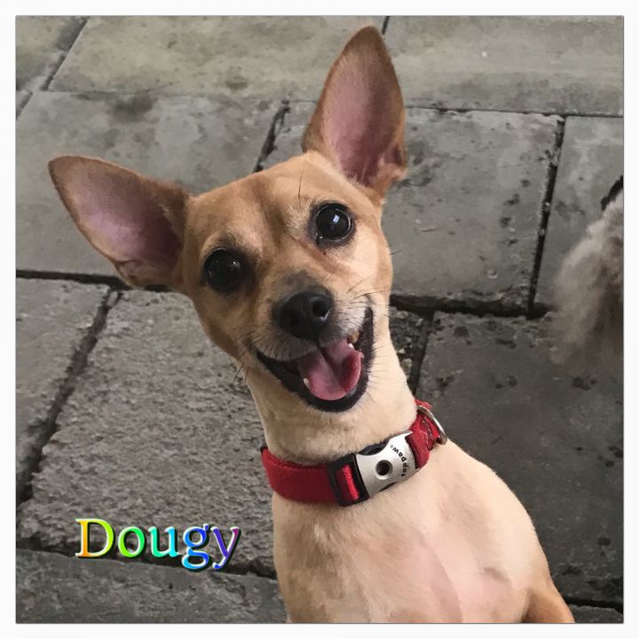 Dougy 1
