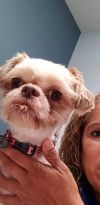 Nugget Edinburg