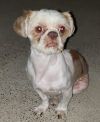 Nugget Edinburg