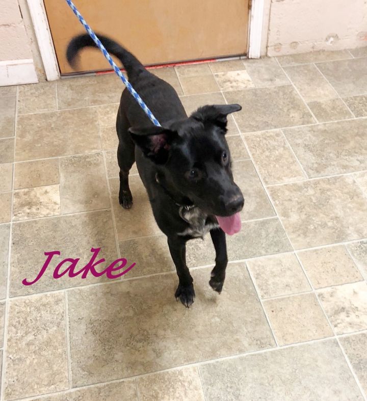 Jake 2