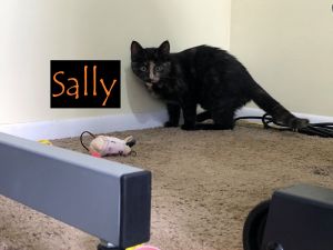 Sally (Wendy's foster)