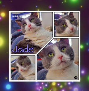 Jade