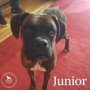 . Junior .