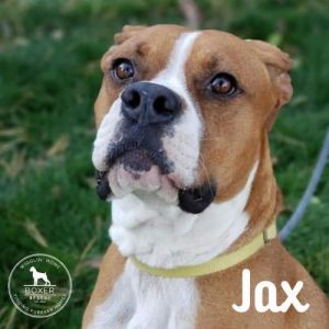 . Jax .