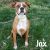 . Jax .