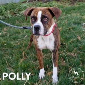 . Polly .