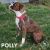 . Polly .