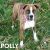 . Polly .
