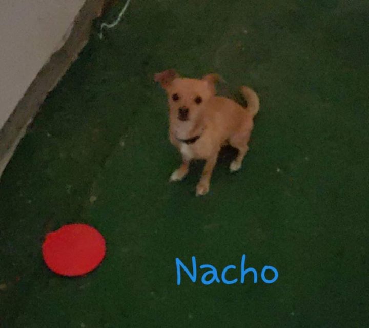 Nacho 3