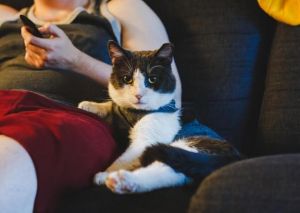 . Edward (FIV+) .