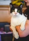 . Edward (FIV+) .