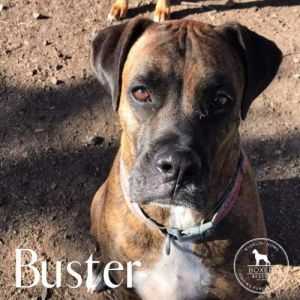 . Buster .