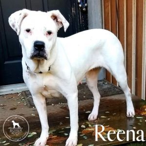 . Reena .