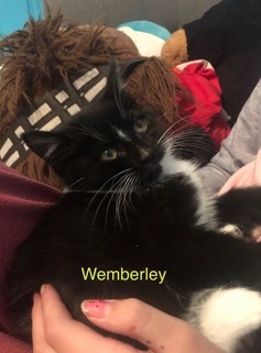 Wemberley 1