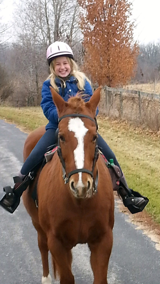 Horse Adoption In Iowa