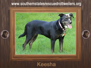 Keesha