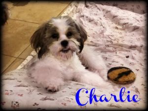 CHARLIE