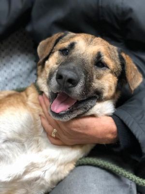 . Max .